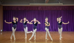 快乐宝贝舞蹈视频小学,小学生活力四射的舞蹈盛宴