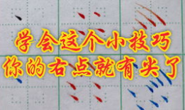 练字视频全教程从零开始,跟随练字视频教程，轻松掌握书法艺术