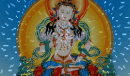 金刚萨埵心咒念诵视频,净化心灵，开启智慧之门